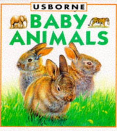 Baby Animals Board Book by Susan Mayes