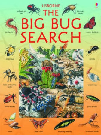 Usborne Great Searches: The Big Bug Search by Various