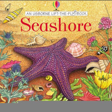 Usborne Lift-The-Flap: On The Beach by Various