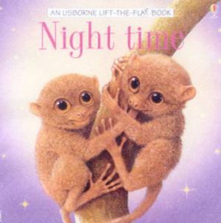 Usborne Lift-The-Flap: Night Time by Various