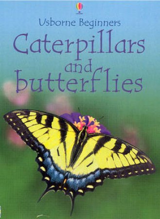 Usborne Beginners: Caterpillars And Butterflies by Various