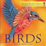 Usborne Pocket Nature Birds