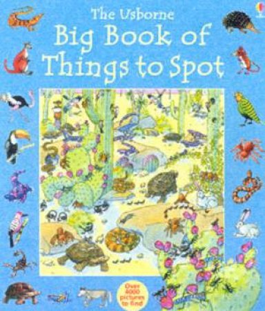 The Usborne Big Book Of Things To Spot by Various