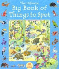 The Usborne Big Book Of Things To Spot