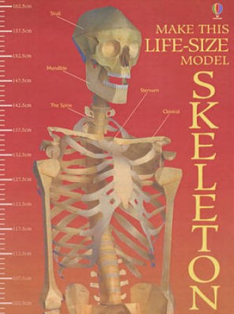 Usborne Cut-Out Models: Make This Skeleton by Various