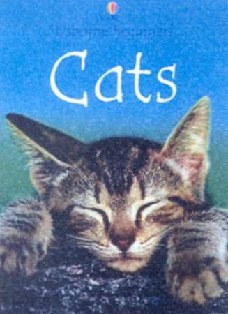 Usborne Beginners: Cats by Various