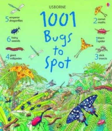 1001 Bugs To Spot by Emma Helbrough