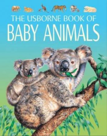 The Usborne Book Of Baby Animals by Unknown