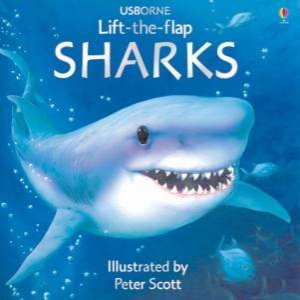 Usborne Lift-The-Flap: Sharks by Kirsteen Rogers