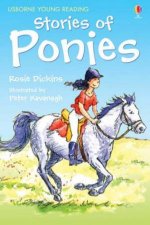 Usborne Young Reading Stories Of Ponies