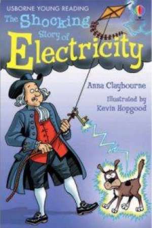 Usborne Young Reading: The Shocking Story Of Electricity by Anne Claybourne