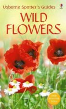 Usborne Spotters Guides Wild Flowers