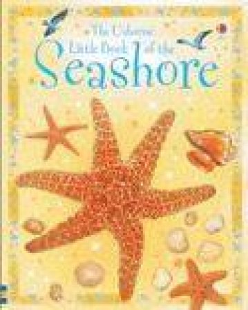 The Little Book Of The Seashore by Laura Howell