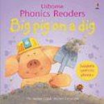 Easy Words To Read Phonics Reader Big Pig On A Dig