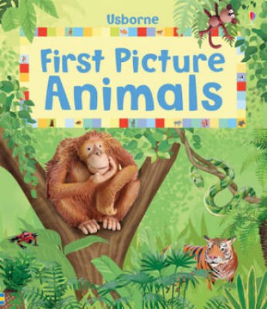 First Picture Animals by .