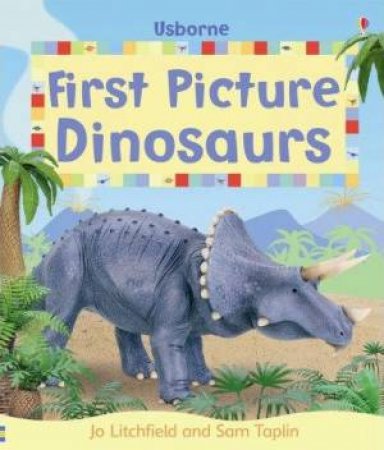 First Picture Dinosaurs by Felicity Brooks