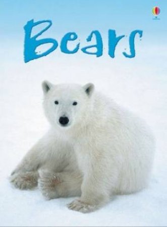 Beginners: Bears by Emma Helbrough