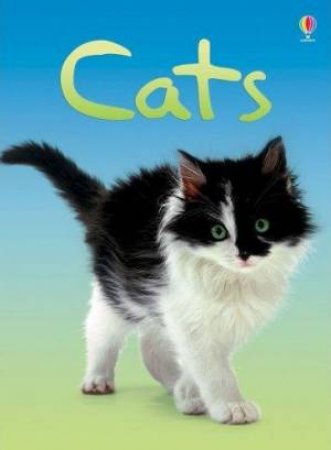 Beginners: Cats by Anna Milbourne