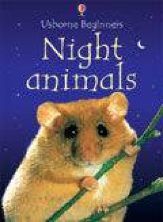 Beginners: Night Animals by Sue Meredith