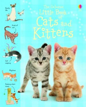 Usborne Little Book of Cats and Kittens by Pocket Nature