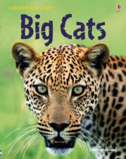 Big Cats