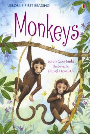 Monkeys by Various