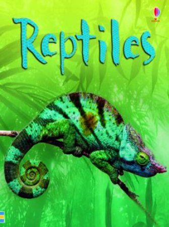 Reptiles by Catriona Clarke