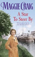 A Star To Steer By