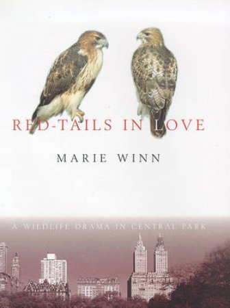 Red-Tails In Love by Marie Winn