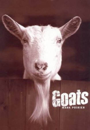 Goats by Mark Poirier