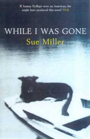 While I Was Gone by Sue Miller