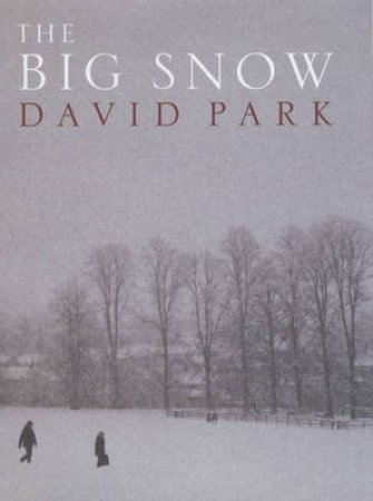 Big Snow by Park David