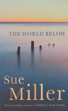 The World Below by Sue Miller