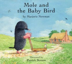 Mole And The Baby Bird by Marjorie Newman