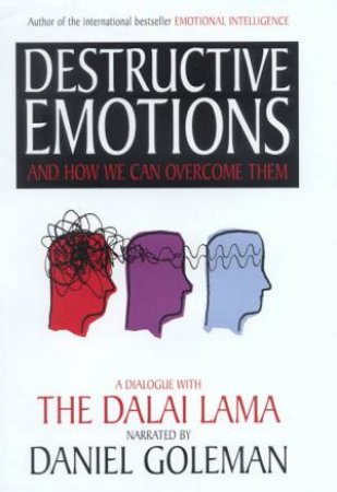 Destructive Emotions And How We Can Overcome Them by Daniel Goleman