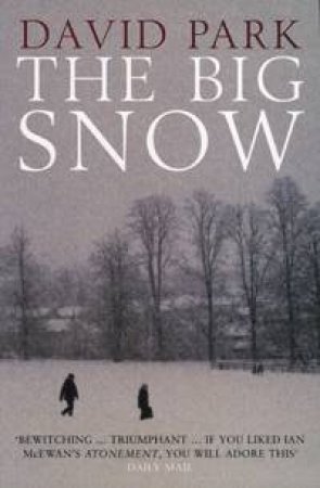 The Big Snow by David Park