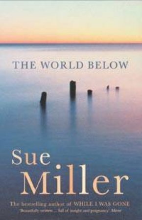 The World Below by Sue Miller