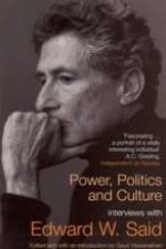 Power Politics And Culture