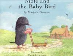 Mole And The Baby Bird by Marjorie Newman