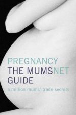 Pregnancy The Mumsnet Guide