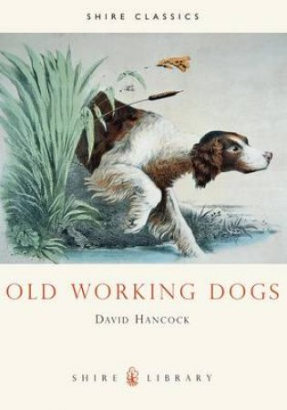 Old Working Dogs by David Hancock