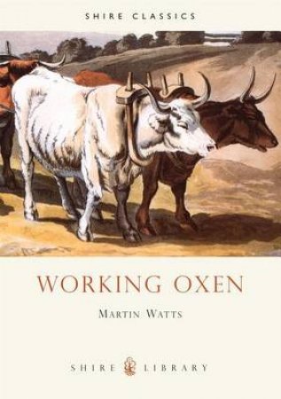 Working Oxen by Martin Watts