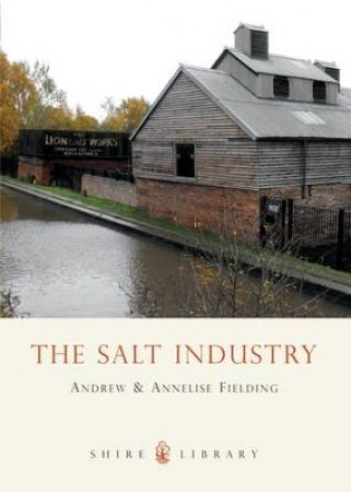 Salt Industry by Andrew Philip Fielding