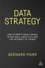 Data Strategy