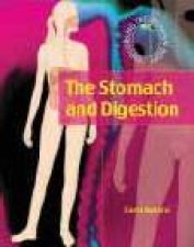 Exploring The Human Body The Stomach And Digestion