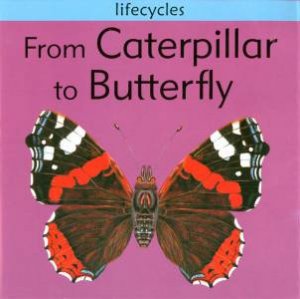 Lifecycles: From Caterpillar To Butterfly by Dr Gerald Legg