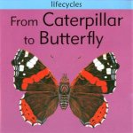 Lifecycles From Caterpillar To Butterfly