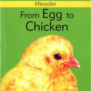 Lifecycles: From Egg To Chicken by Dr G Legg