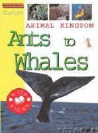 Starters: Animal Kingdom: Ants To Whales by Sally Hewitt