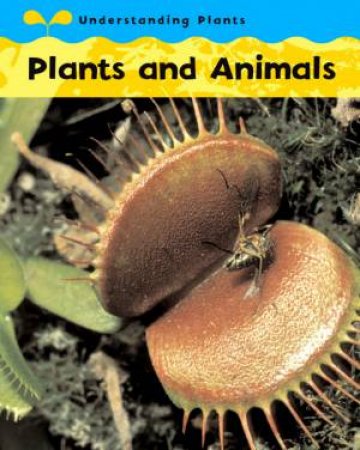 Understanding Plants: Plants And Animals by Claire Llewellyn